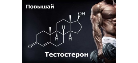 Как повысить тестостерон – ТОП 10 биодобавок